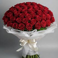 Букет 101 Красная роза Блэк Мэджик в Зарубино