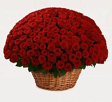 Премиум букет из: Розы #REPLACE_PRED# Зарубино